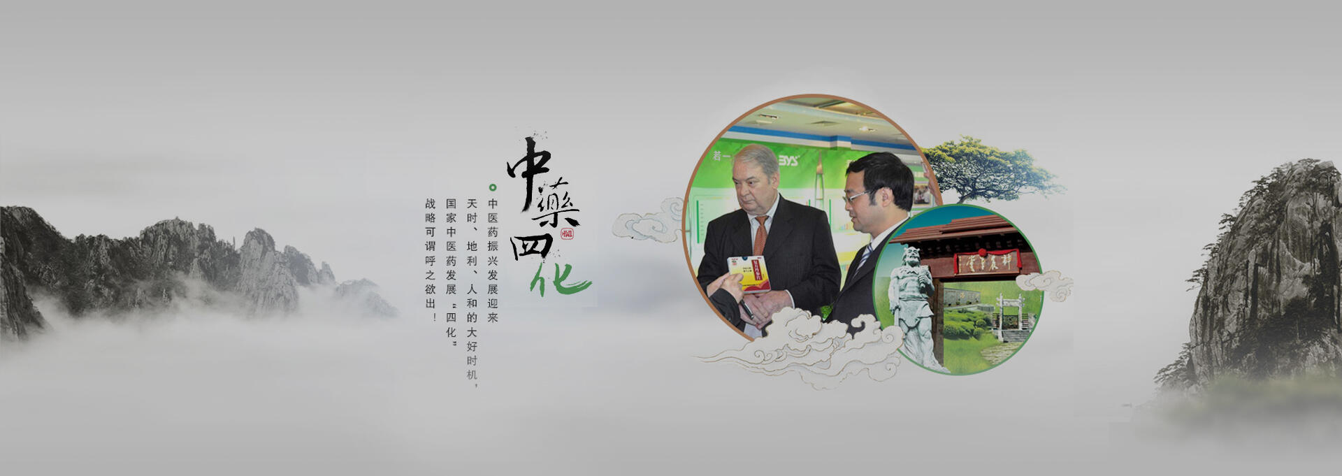 偃师建站-若一医药科技